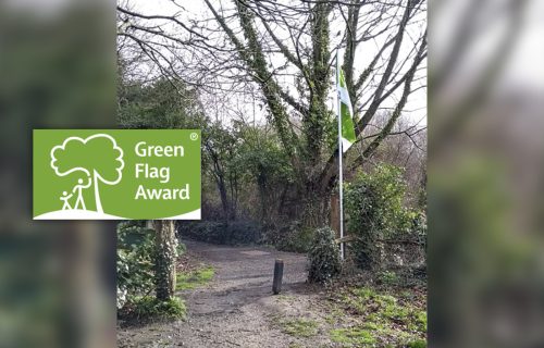 greenflagawards